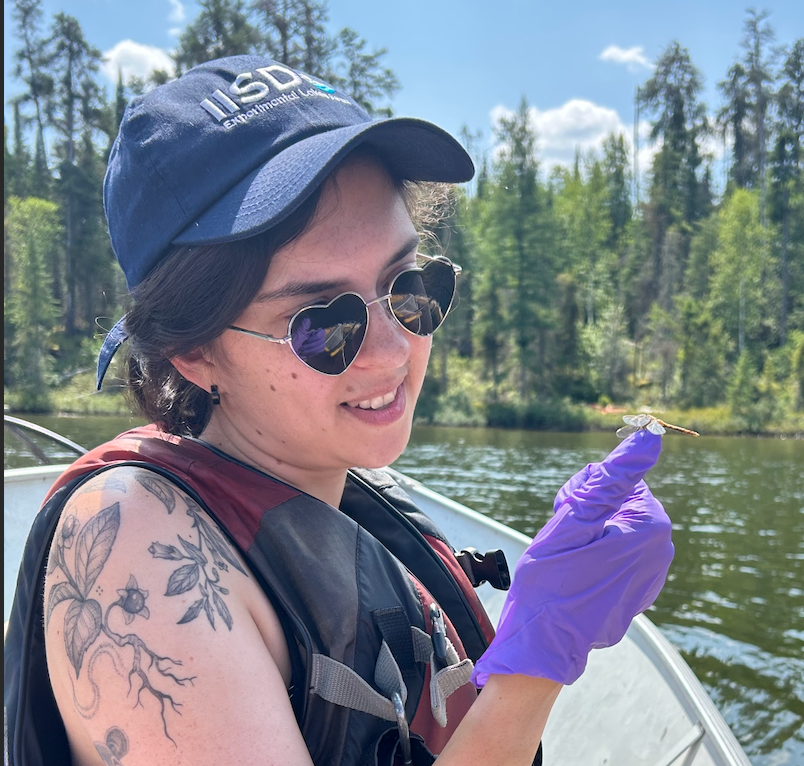 Profile image of Kathleen Roark