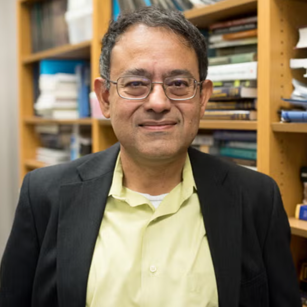 Profile image of Sanjay Banerjee
