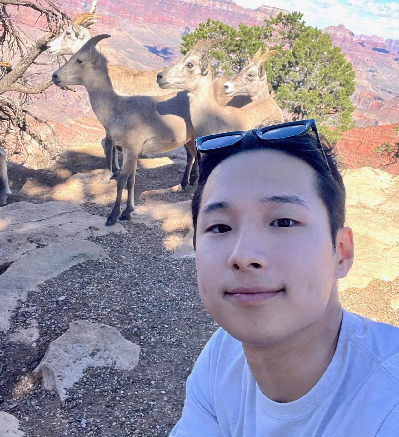 Profile image of Ikjun Choi